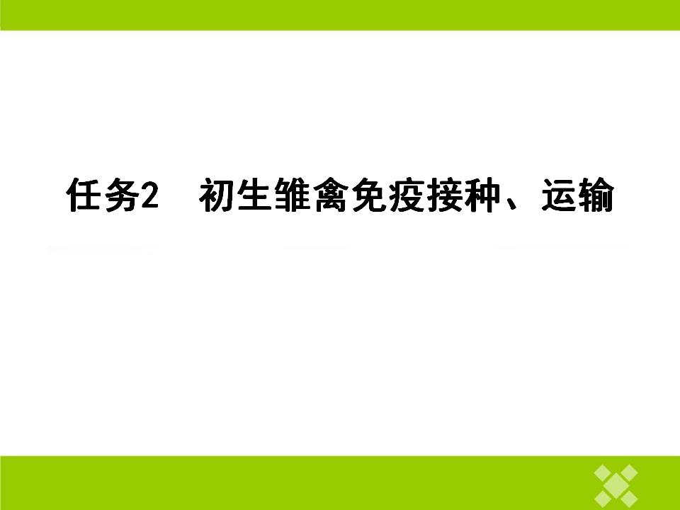 任務2  初生雛禽免疫接種🚍、運輸_01.jpg