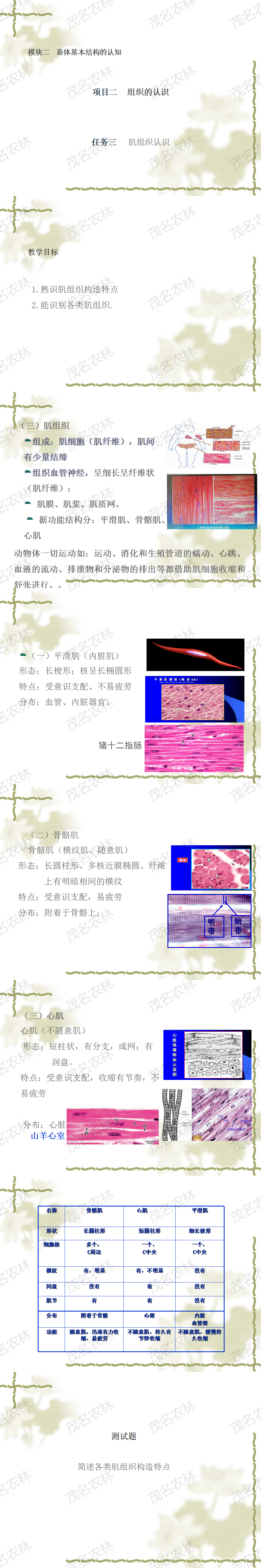 肌組織的認識.png