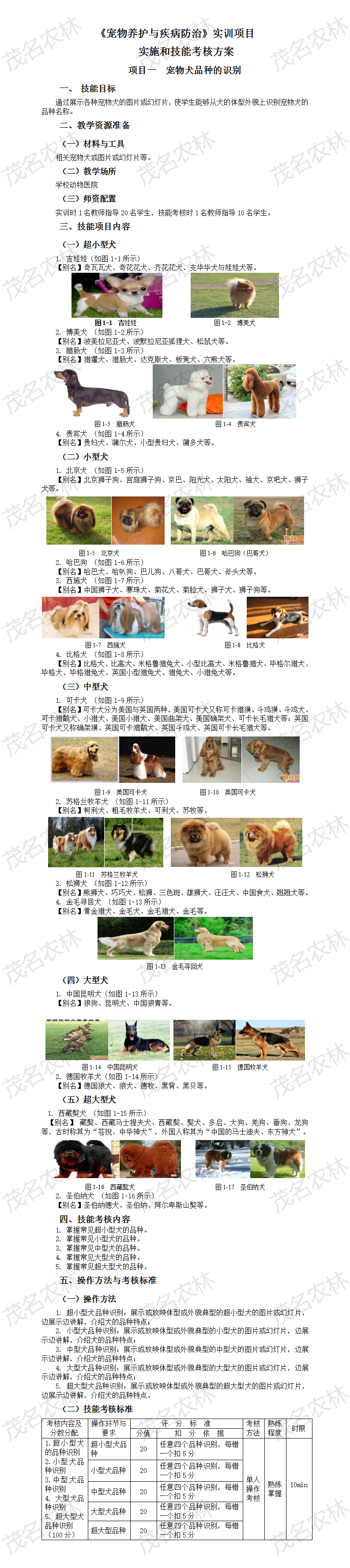 實訓1 寵物犬品種的識別.png