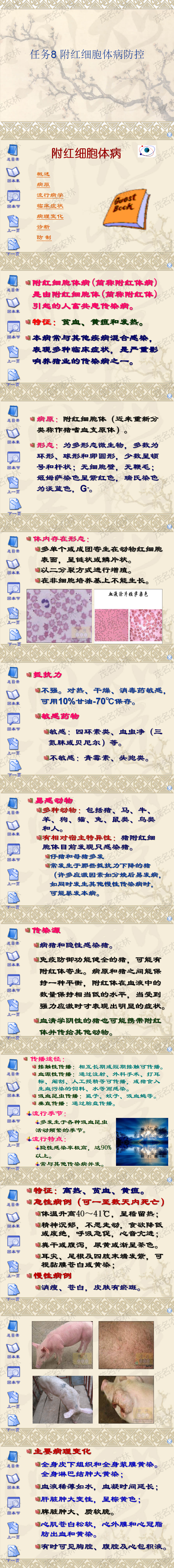 任務8 附紅細胞體病防控.png